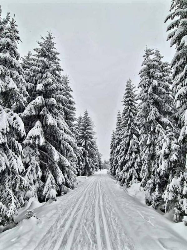 CHALUPA S POTOKEM V JIZERSKÝCH HORÁCH