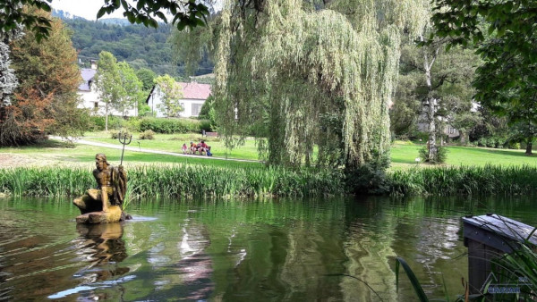 LEVNÉ UBYTOVÁNÍ KOUTY NAD DESNOU