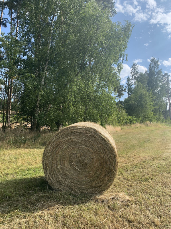 LUXUSNÍ UBYTOVÁNÍ NA ŠUMAVĚ FRYMBURK U SUŠICE