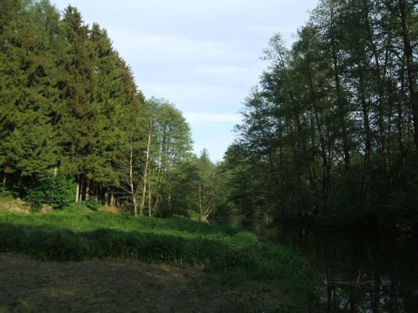 RYBAŘENÍ A VÝLETY NA VYSOČINĚ