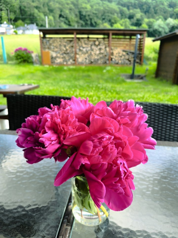 LUXUSNÍ UBYTOVÁNÍ V LÁZNÍCH