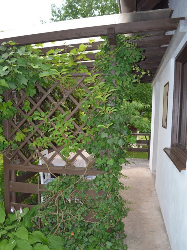 PRONÁJEM CHATY S KRBEM