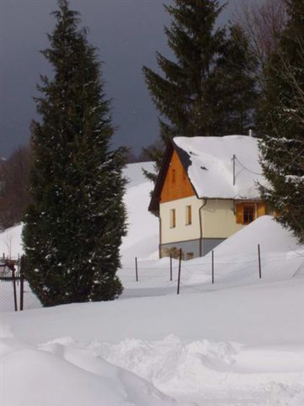 CHATA V JESENÍKÁCH