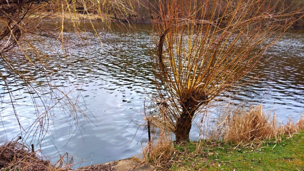 Levná dovolená pro rybáře
