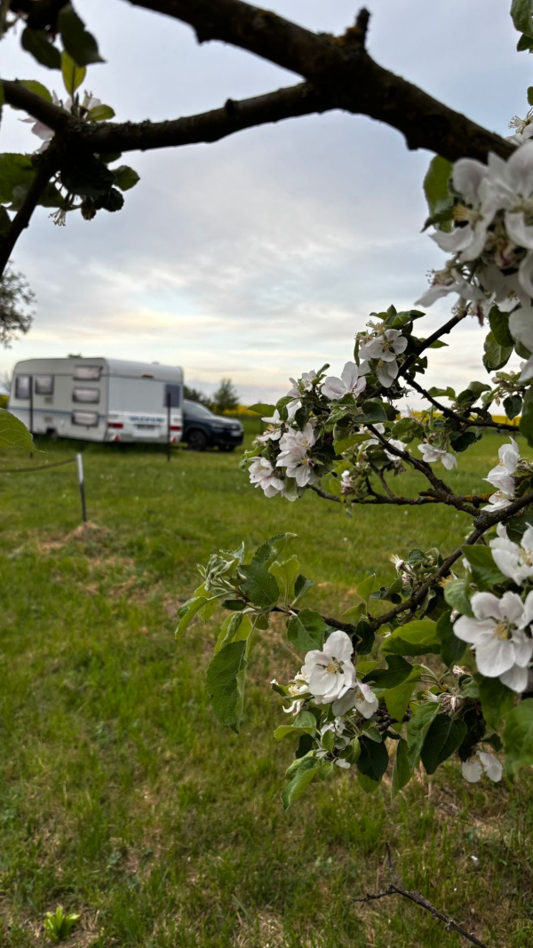 Karavanové stání, kemping, stanování KARAVANOVÉ STÁNÍ - ROZKOŠ - chatachalupa.cz