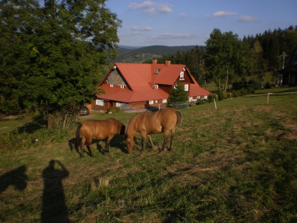 PRONÁJEM CHALUPY PRO SKUPINU V KRKONOŠÍCH