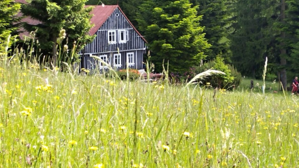 Roubenka Paseky – Klasická chalupa k pronájmu v Pasekách nad Jizerou