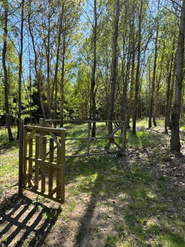 Levná chata k pronájmu: Jižní Čechy – Táborsko
