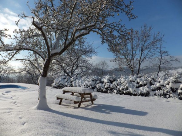 UBYTOVÁNÍ S BAZÉNEM