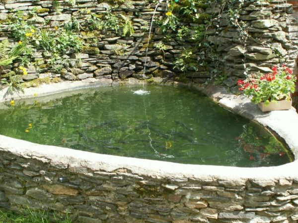 UBYTOVÁNÍ S BAZÉNEM