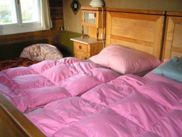 CHALUPY K PRONAJMUTÍ V JESENÍKÁCH