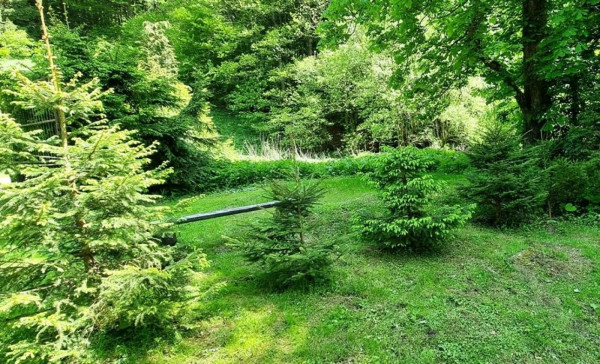 CHATA K PRONÁJMU V JESENÍKÁCH