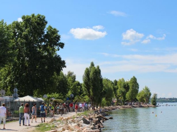 Camping Cisano San Vito **** - Bardolino - Lago di Garda