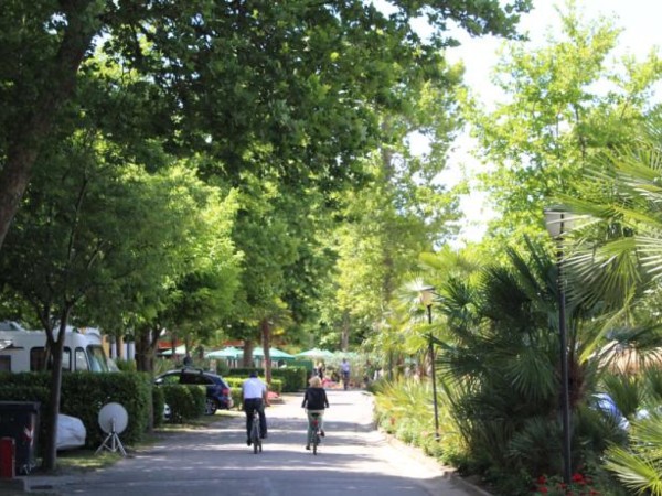 Camping Cisano San Vito **** - Bardolino - Lago di Garda