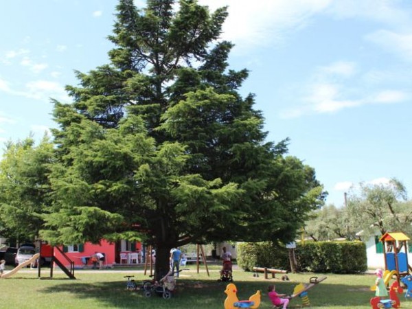 Camping Cisano San Vito **** - Bardolino - Lago di Garda