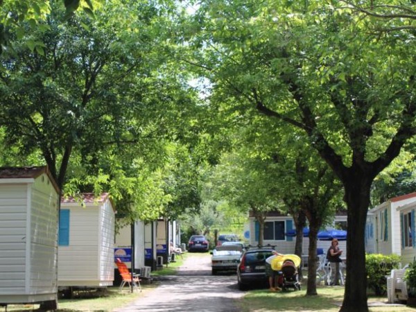 Camping Cisano San Vito **** - Bardolino - Lago di Garda