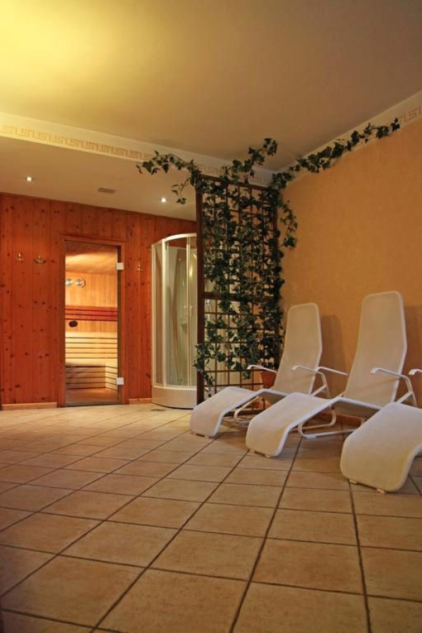 WELLNESS HOTEL VAL DI PEJO