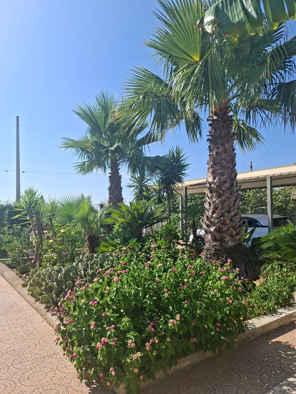 VILLA TRISCINA – LUXUSNÍ VILA SE ZAHRADOU U PÍSEČNÉ PLÁŽE, ZÁJEZDY ITÁLIE, SICÍLIE, Triscina di Selinunte