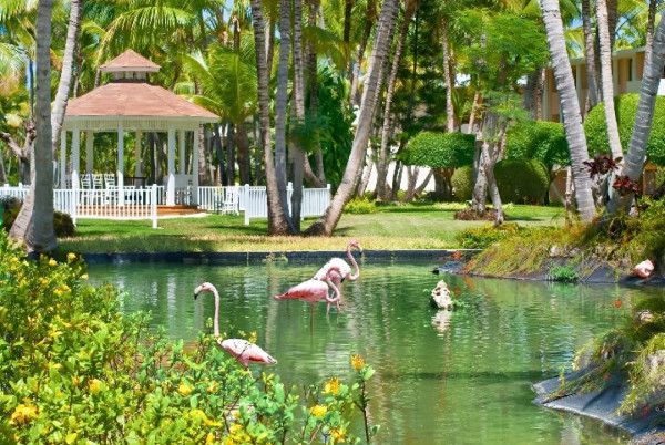 DOMINIKÁNSKÁ REPUBLIKA ALL INCLUSIVE