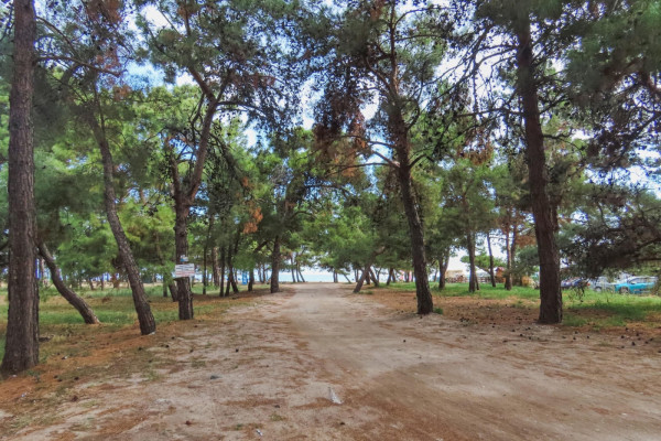 DOVOLENÁ THASSOS A KAVALA, DOVOLENÁ V ŘECKU, ZÁJEZDY ALL INCLUSIVE