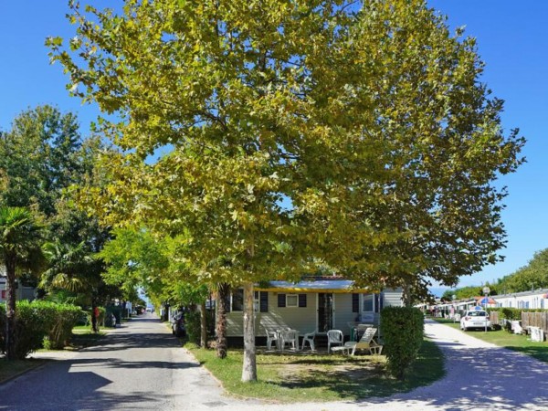 Camping Butterfly - Peschiera del Garda - Lago di Garda